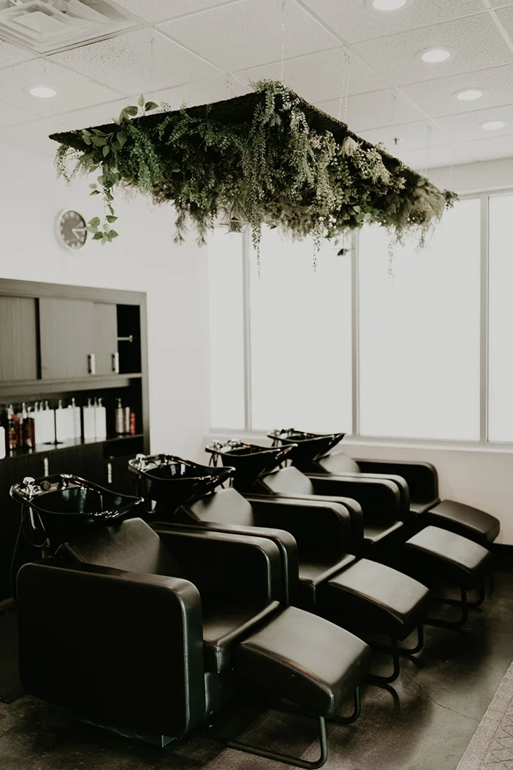 The Blush Collective Salon & Wellness Spa business photo
